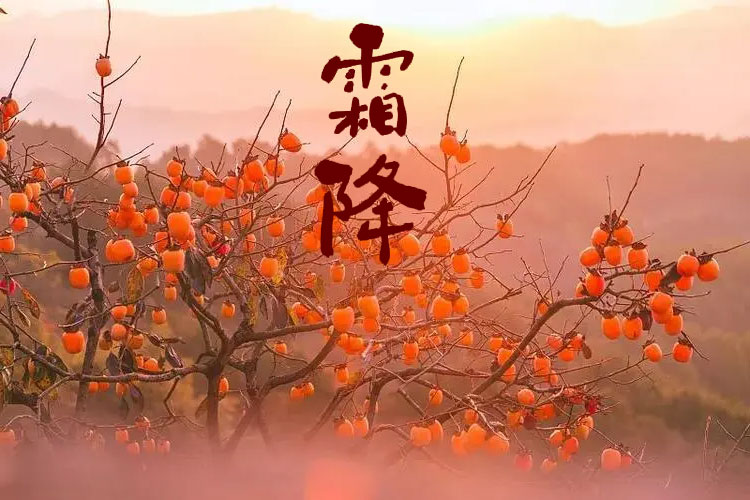 D(zhun)g˪һůƶﶬ
